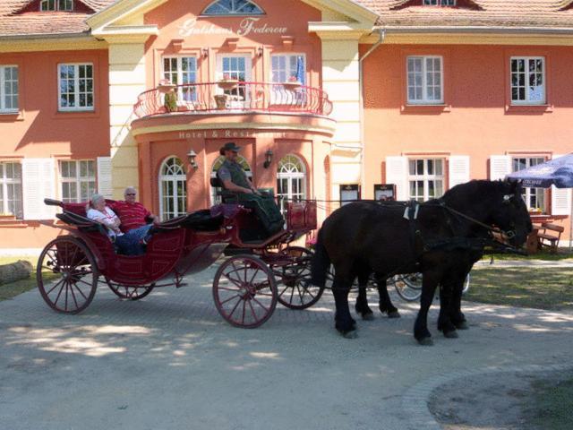Hôtel Altes Gutshaus-Federow Extérieur photo